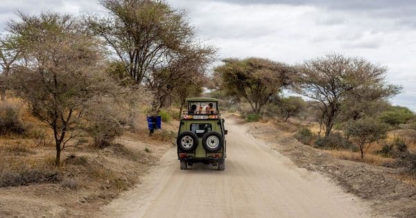 Assurance voyage Tanzanie : la police à 44 USD est obligatoire, mais elle ne suffit pas pour un safari
