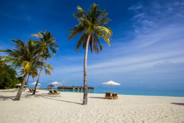 Sri Lanka visa for UK citizens: free ETA and how to apply