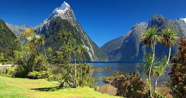 PVT Nouvelle-Zélande : le vrai budget visa et assurance, dès 449,74 € pour 12 mois