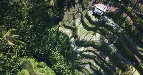 Assurance voyage Bali : comparatif, prix et garanties dès 2,32 € par jour