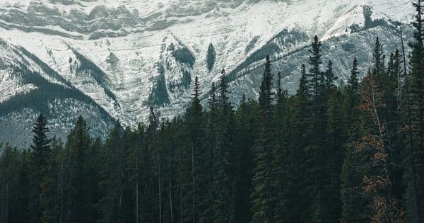 Travel insurance for Canada: compare UK cover from £49.32 a week